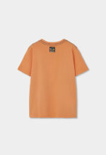 Knit t-Shirt for boy -BCI - pumpkin - Image 2